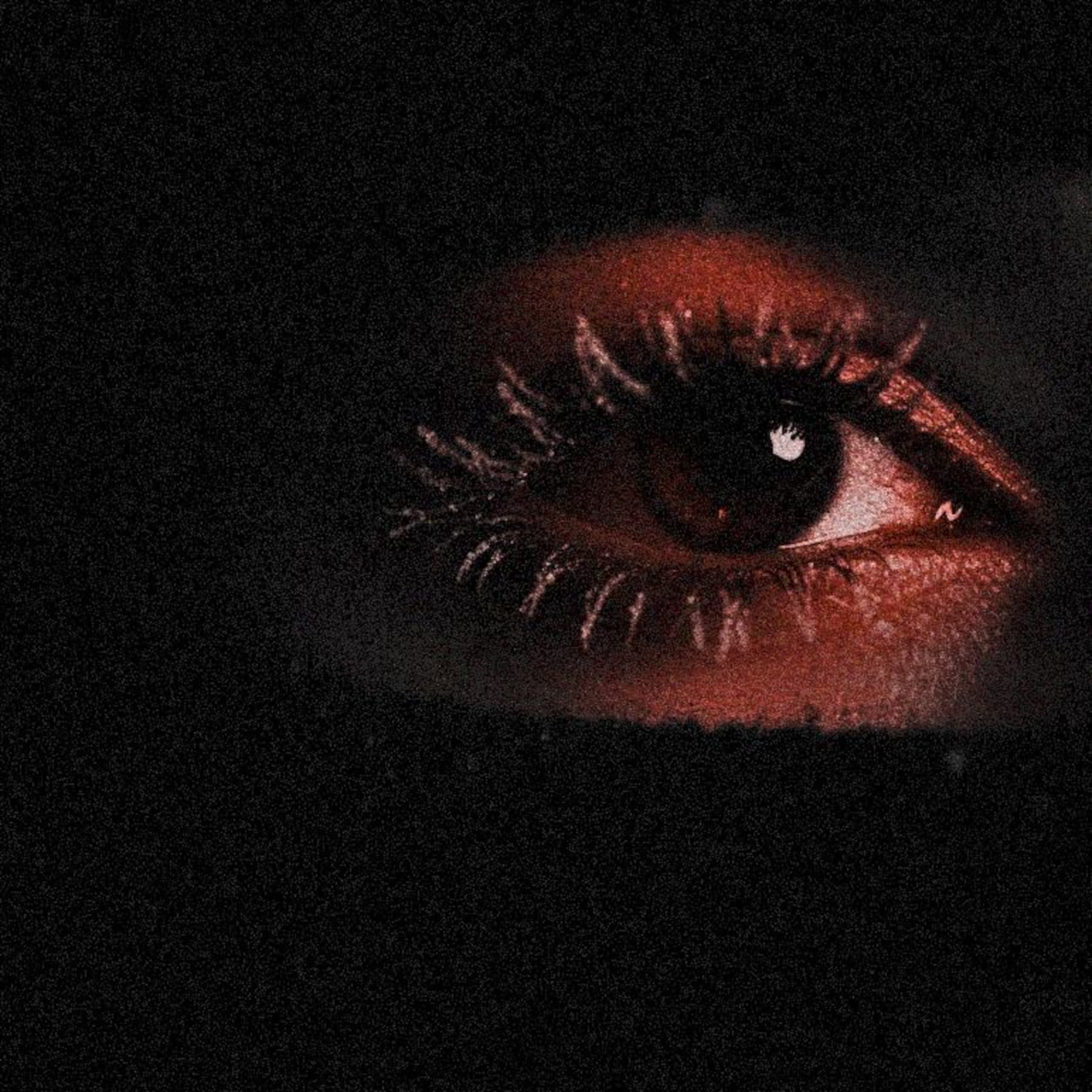 frozen tears — cover art